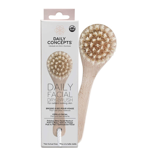 Daily Concepts, Hair Brush Dry Daily Facial